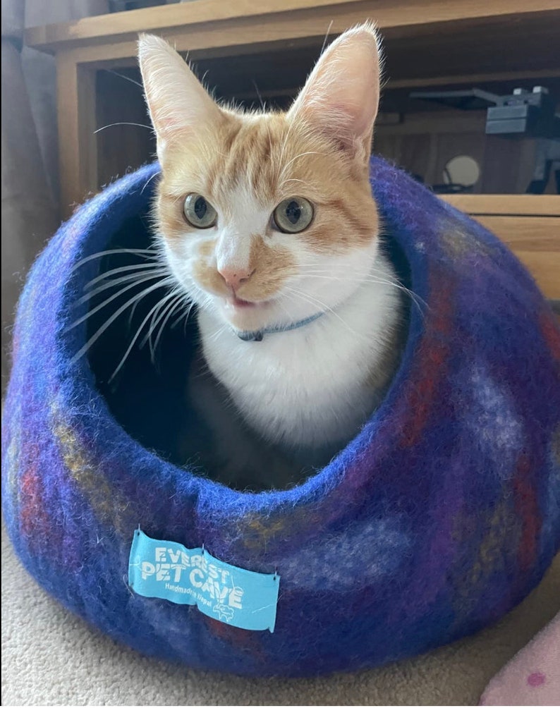 May include: A ginger and white cat with green eyes sits in a blue and purple felt cat bed. The bed has a blue tag that says "Everest Pet Cave Handmade with Love".