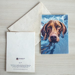 Hongaarse Vizsla-wenskaart A6-formaat, gedrukt op handgemaakt Nepalees lokta-papier, duurzaam papier, handgemaakt, wordt geleverd met een handgemaakte envelop