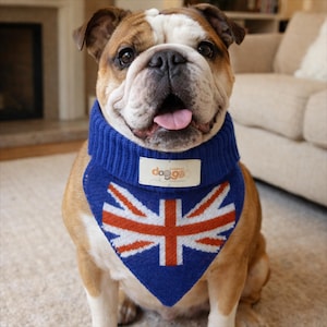Bandana per cani in lana fatta a mano: motivo Union Jack