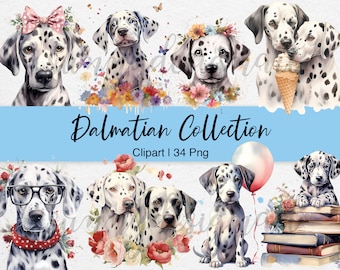 Clipart de cachorro dálmata en acuarela: Conjunto de ilustraciones de perros (34 PNG, descarga digital)