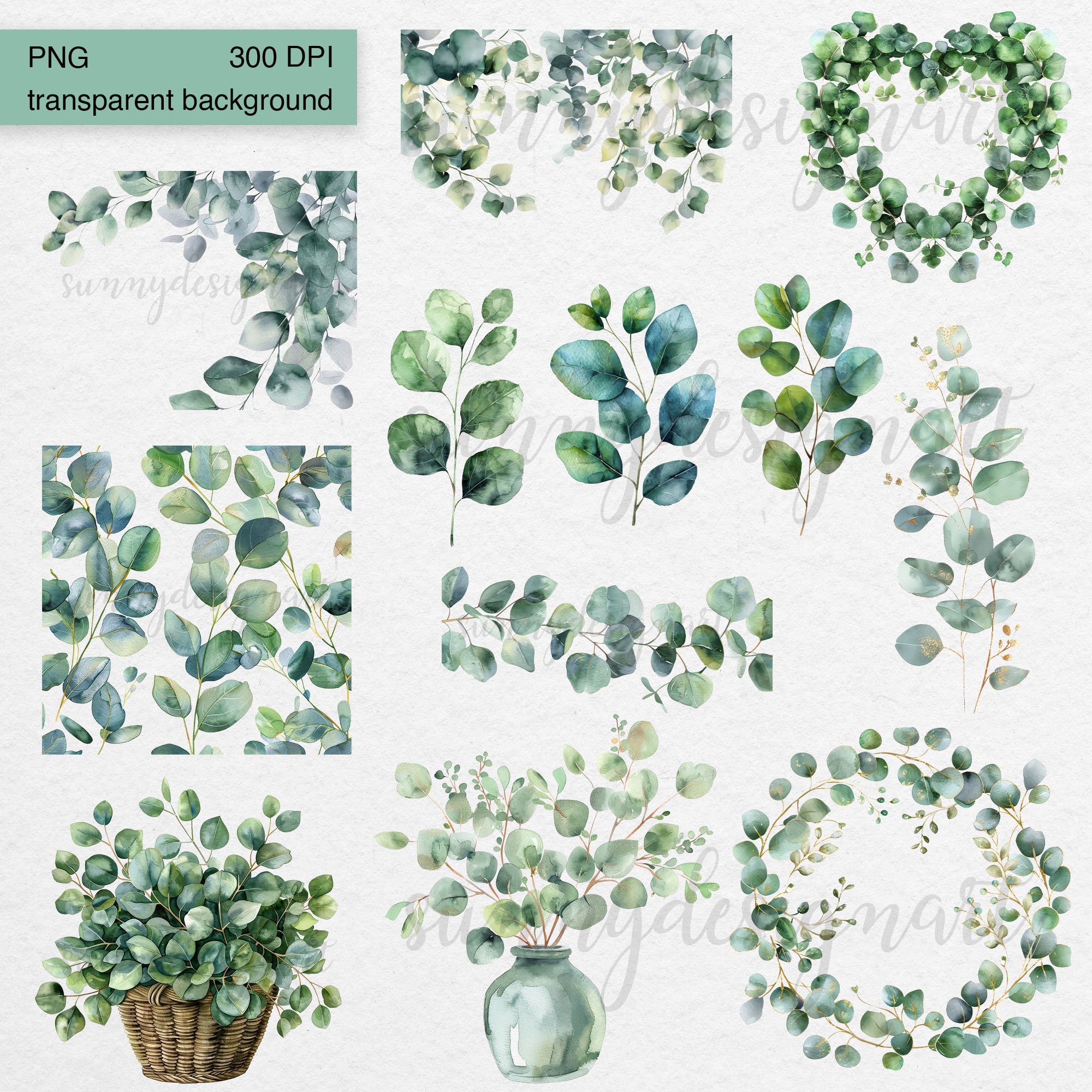 Watercolor Eucalyptus Clipart: Greenery Leaves PNG, Floral Frames ...