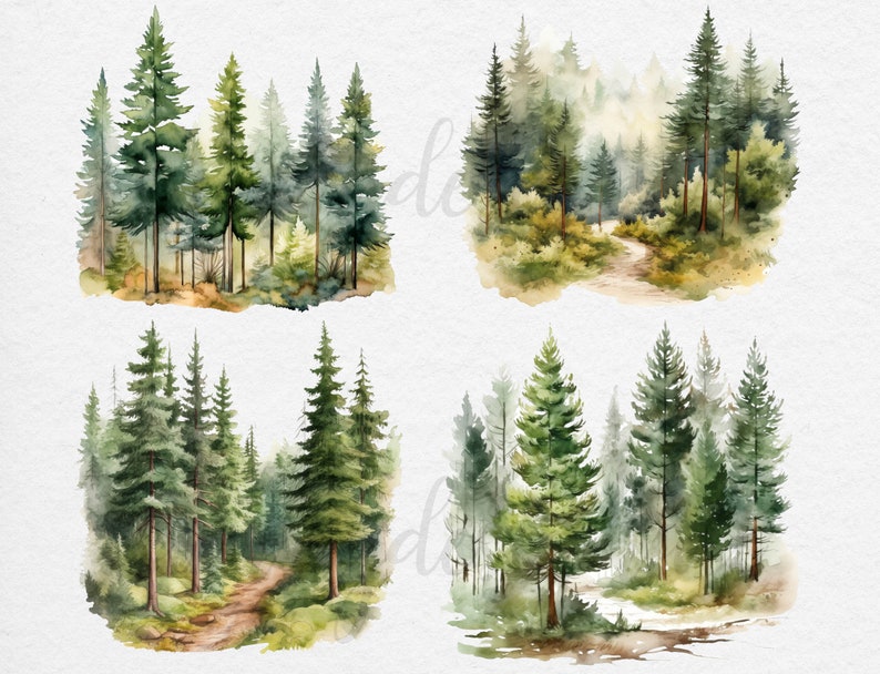 May include: Four watercolor illustrations of pine forests with winding paths. The illustrations feature different perspectives of the forest, with some showing a close-up view of the trees and others showing a more distant view.