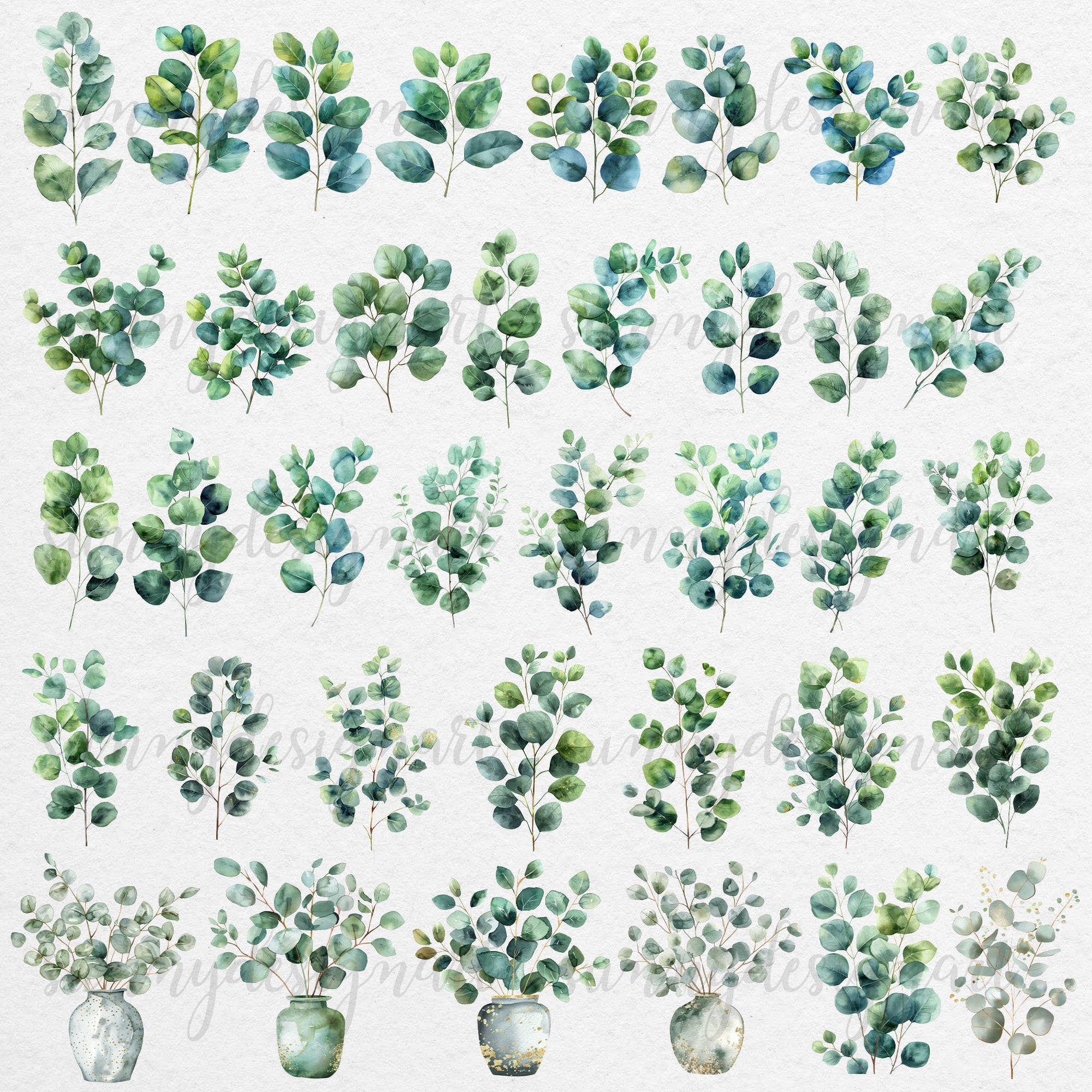 Watercolor Eucalyptus Clipart: Greenery Leaves PNG, Floral Frames ...