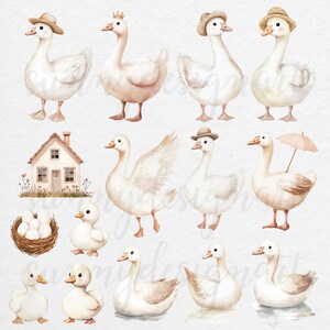 Puede incluir: Un conjunto de ilustraciones de acuarela que representan gansos blancos con varios accesorios, incluidos sombreros, paraguas y una peque&ntilde;a casa. Los gansos se representan en diferentes poses, algunos de pie, algunos sentados y algunos nadando. Las ilustraciones son perfectas para agregar un toque de fantas&iacute;a a cualquier proyecto.