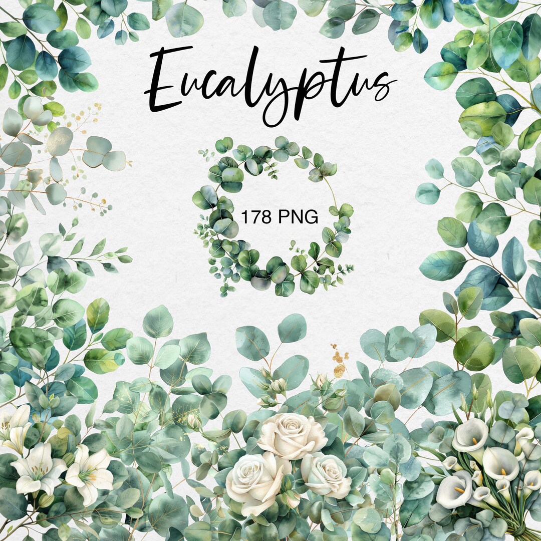 Watercolor Eucalyptus Clipart: Greenery Leaves PNG, Floral Frames ...
