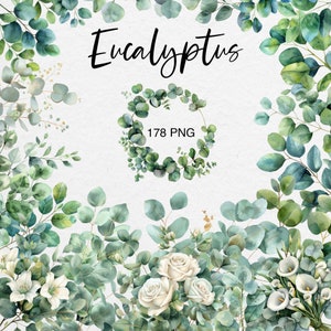 Watercolor Eucalyptus Clipart: Greenery Leaves PNG, Floral Frames Wreaths for Weddings
