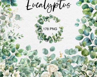 May include: Watercolor illustration of eucalyptus leaves and white flowers. The image includes 178 PNG files.