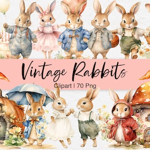Vintage konijn clipart, Bunny PNG geïnspireerd door Beatrix Potter Peter Rabbit, aquarel clipart, Cottage, wortel, digitale download, commercieel