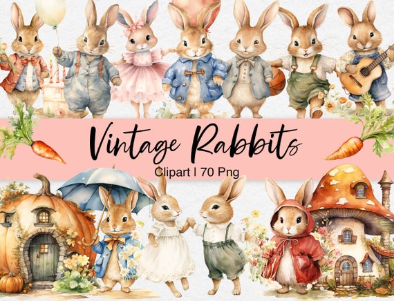 Vintage Rabbit Clipart, Bunny PNG Inspired by Beatrix Potter Peter Rabbit, Watercolor Clipart, Cottage, Carrot, Digital Download, Commercial