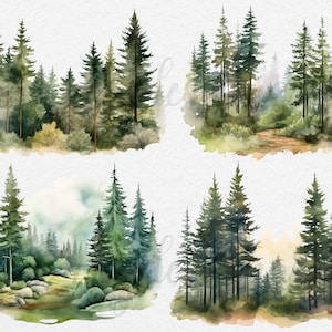 May include: Four watercolor illustrations of pine forests. Each illustration features a different perspective of a forest with varying shades of green and brown.