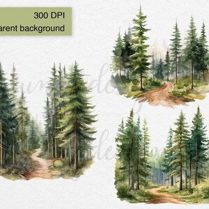 May include: Two watercolor illustrations of a forest path winding through a grove of tall, green pine trees. The path is dirt and leads to a clearing in the woods.