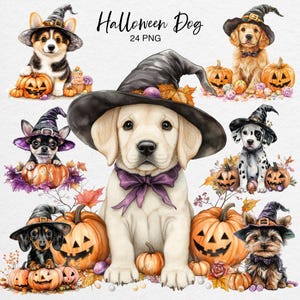 Halloween Hund Clipart, Aquarell Welpe im Hexenhut und Kürbisse, Hunderassen, Süßes Herbst Haustier PNG, Digitaler Download, Kommerzieller Gebrauch
