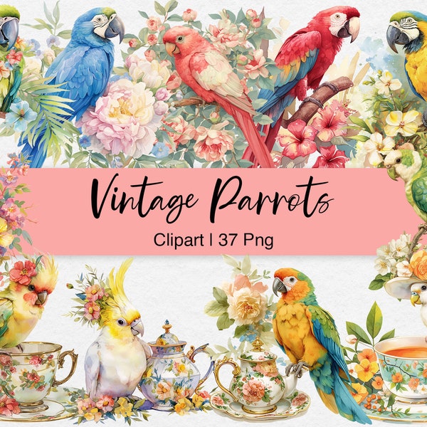 Parrot Vintage Clipart, Watercolor Birds, Macaw Parrot, Cockatoo, Lovebirds, Floral, Tea Time, Scrapbook, Digital Download, Commercial Use