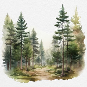 May include: Watercolor painting of a forest scene with tall pine trees and a dirt path leading into the woods. The trees are painted in shades of green and brown, and the path is surrounded by green grass and foliage.