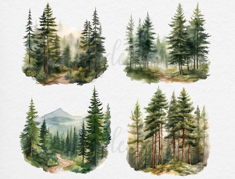 May include: Four watercolor illustrations of pine forests with winding paths and lush greenery. The top left image features a misty forest with a path leading into the woods. The top right image shows a dense forest with a path leading through the trees. The bottom left image depicts a forest with a mountain in the background and a winding path leading up the mountain. The bottom right image shows a group of tall pine trees with a path leading through the forest.