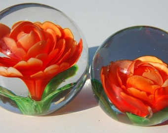 Rose im Paperweight aus Glas