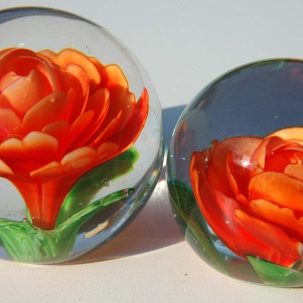 Rose im Paperweight aus Glas