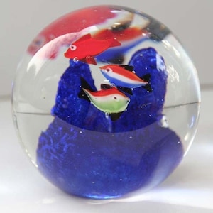 Paperweight: Fish on coral reef image 1