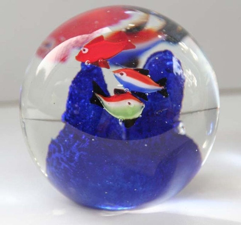 Paperweight: Fish on coral reef image 1