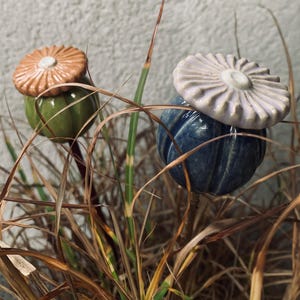 Può includere: Due paletti da giardino in ceramica a forma di testa di papavero. Uno è verde con la parte superiore arancione e l'altro è blu con la parte superiore bianca. I paletti sono in un letto di erba marrone.
