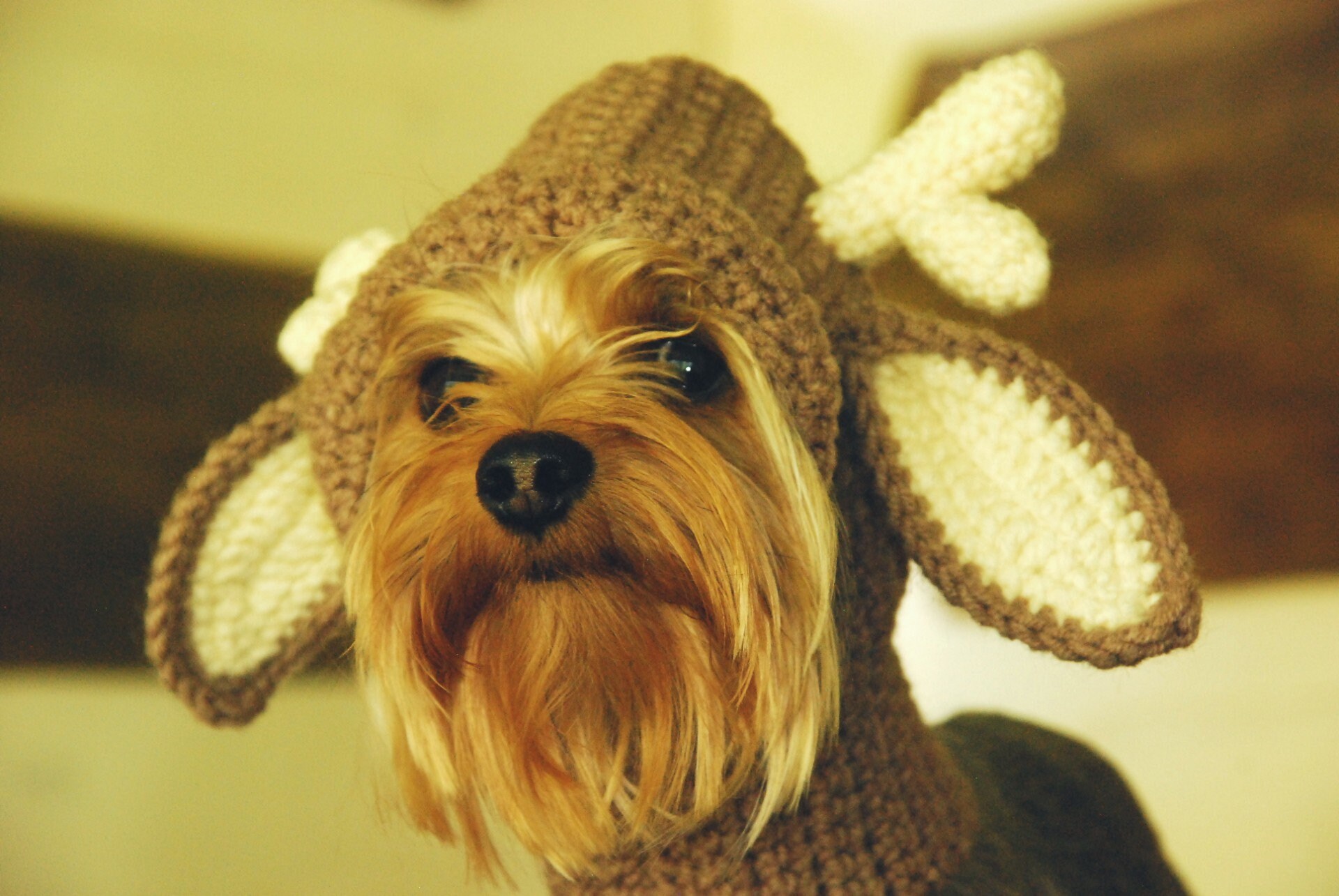 Reindeer hat for dogs Dog antlers Christmas dog Costume - Etsy.de