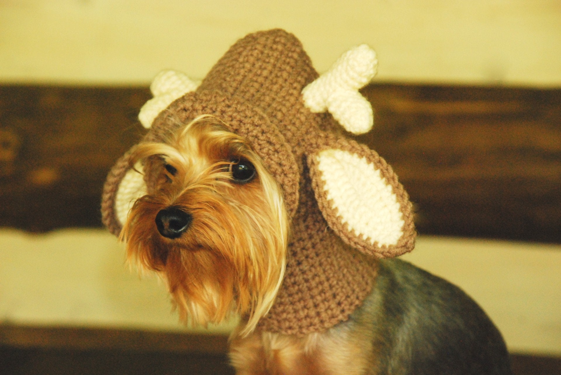 Reindeer hat for dogs Dog antlers Christmas dog Costume - Etsy.de