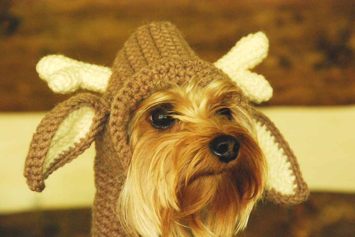 Reindeer hat for dogs Dog antlers Christmas dog Costume - Etsy.de