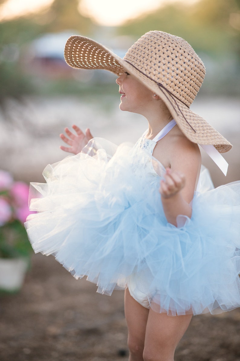 Blue and White Victorian Rose /& Lace Tutu Dress
