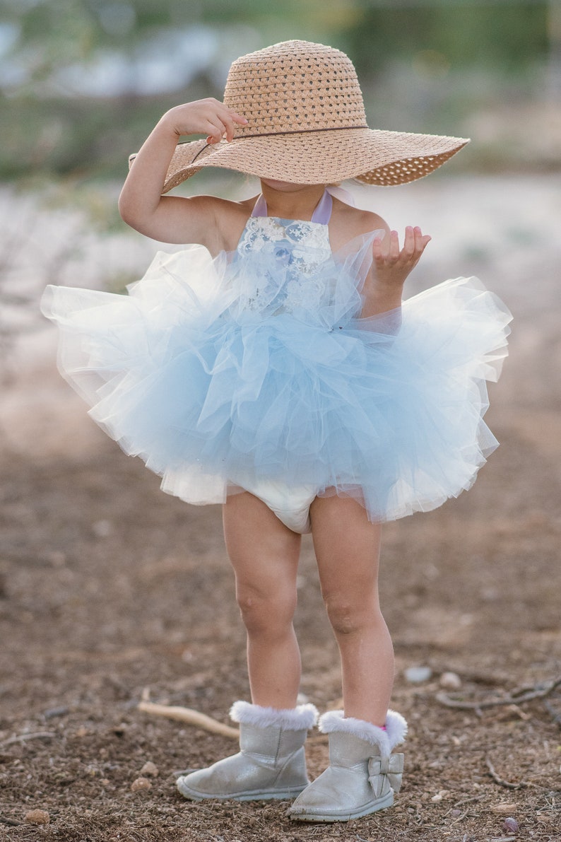 Blue and White Victorian Rose /& Lace Tutu Dress