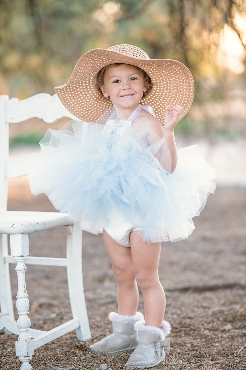 Blue and White Victorian Rose /& Lace Tutu Dress