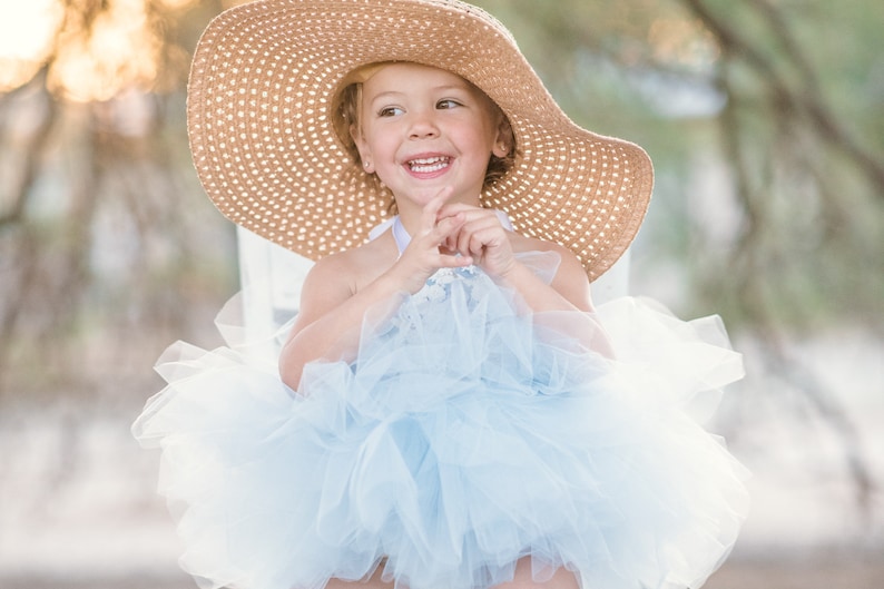 Blue and White Victorian Rose /& Lace Tutu Dress