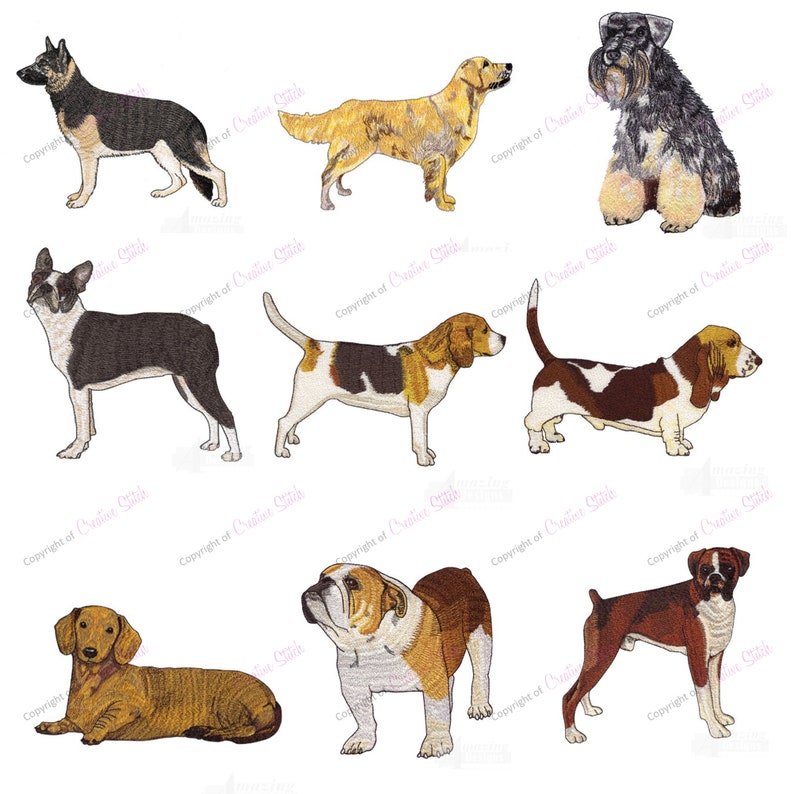 20 Popular Dog Breeds Collection Embroidery Designs Brother Etsy