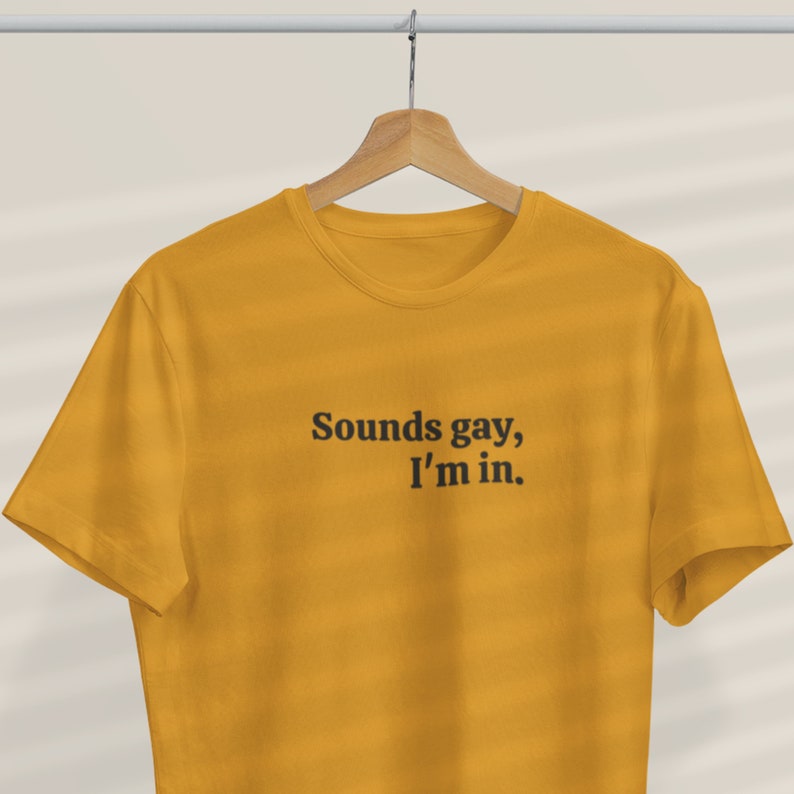 Sounds gay, i'm in shirt, Gay pride shirt, Gay shirt, LGBT shirt, Lesbian shirt, Gay pride shirt, Gay valentines gift 