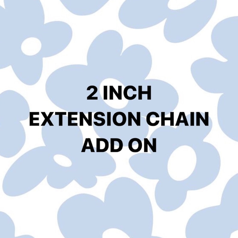 2 Necklace Extension Chain image 1