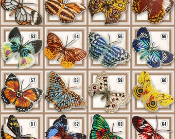 Decoendiy Lot De 50 Perles En Bois Blanc Imprimé Papillon Et Fleur De 16 Mm Avec Motif Floral Vert Pour Guirlande De Ferme, Décoration D'intérieur, Fabrication De Bijoux Et Loisirs Créatifs