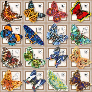May include: A set of 16 colorful butterfly bead embroidery patterns. Each pattern is framed in a square with a number from 65 to 80.