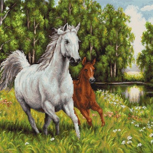 Horse and Foal Stitching Kit. Premium Quality DIY Embroidery Set. Home Wall Decor