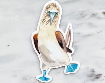 blue footed booby stuffed animal