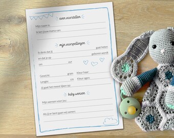 Baby shower fill-in card Dutch | Print yourself | 2 pieces on A4 format PDF | Boy