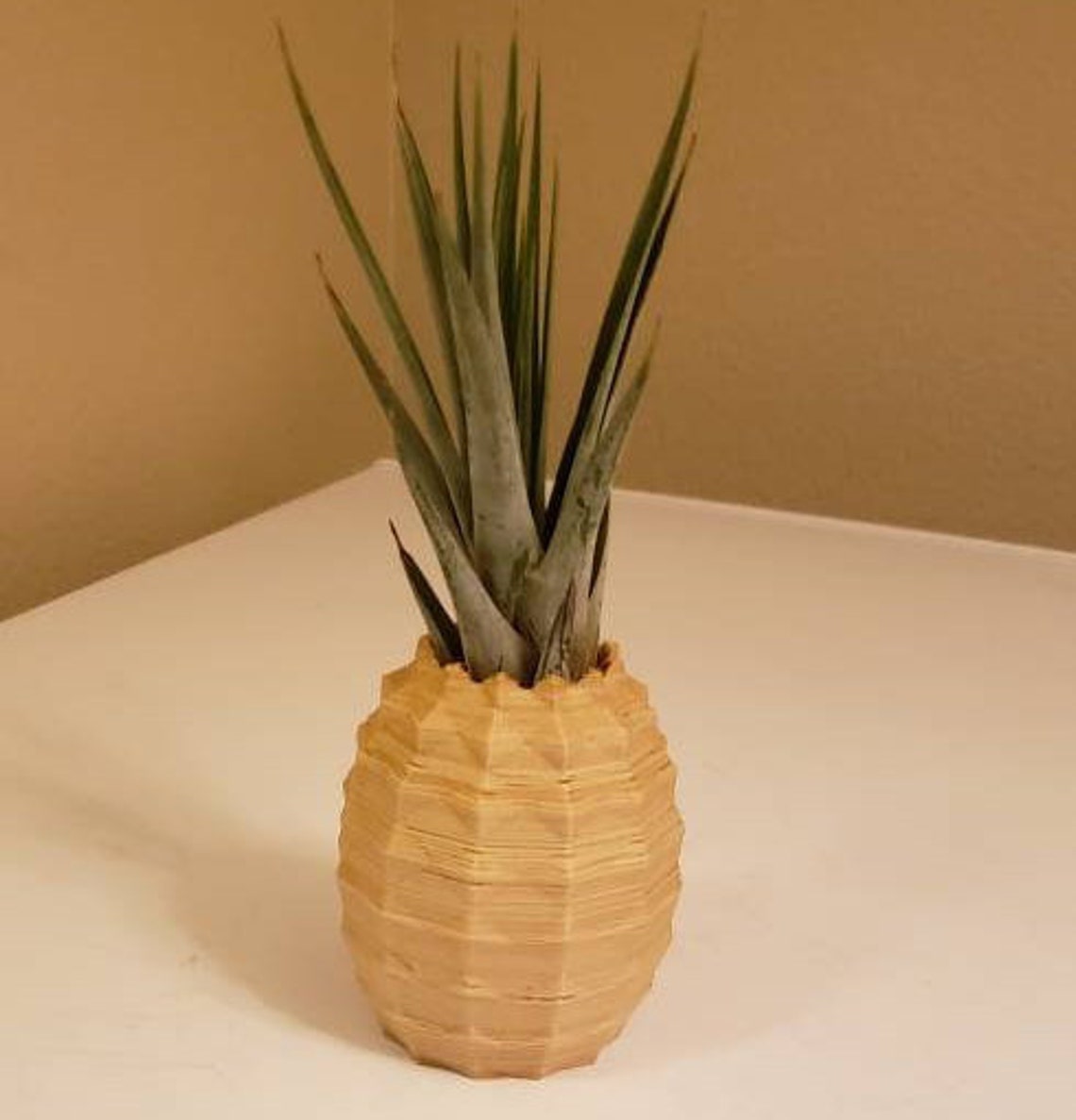 3D PlantWorks Pineapple Plant Pot Etsy