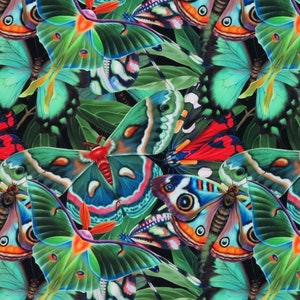Tessuto in velluto italiano con farfalle e fiori colorati, velluto da tappezzeria, tessuto da tappezzeria, tessuto in velluto italiano, stampa digitale farfalla