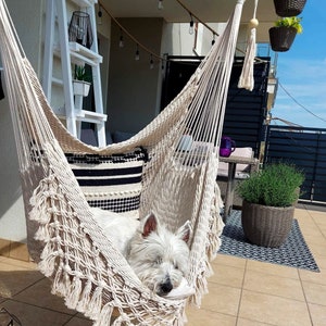 May include: A white dog is sleeping in a white macrame hammock hanging from a wooden porch. The hammock is decorated with black and white striped fabric. The dog is lying on its side with its head resting on the fabric.