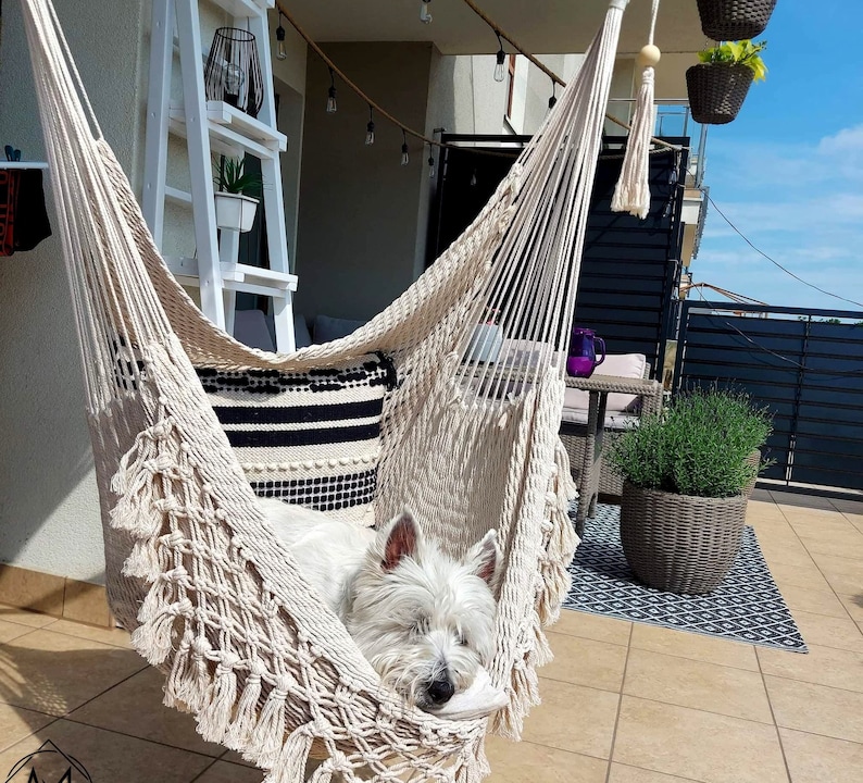 May include: A white dog is sleeping in a white macrame hammock hanging from a wooden porch. The hammock is decorated with black and white striped fabric. The dog is lying on its side with its head resting on the fabric.