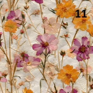 Peut inclure: Un motif floral avec des fleurs pressées roses, oranges et jaunes sur un fond blanc texturé. Le chiffre "11" est visible en noir. Le motif comprend divers types de fleurs et de tiges.