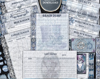 Kit de agenda Steampunk de invierno, pegatinas semanales y mensuales (descarga digital)