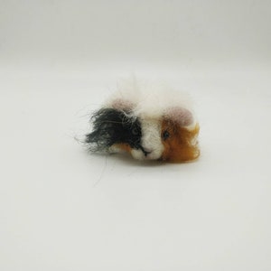 Custom Made Guinea Pig Decoration for Rachel