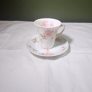 Dainty Haviland & Co. Limoges Vintage Tea Cup and Saucer- Pink and White Floral