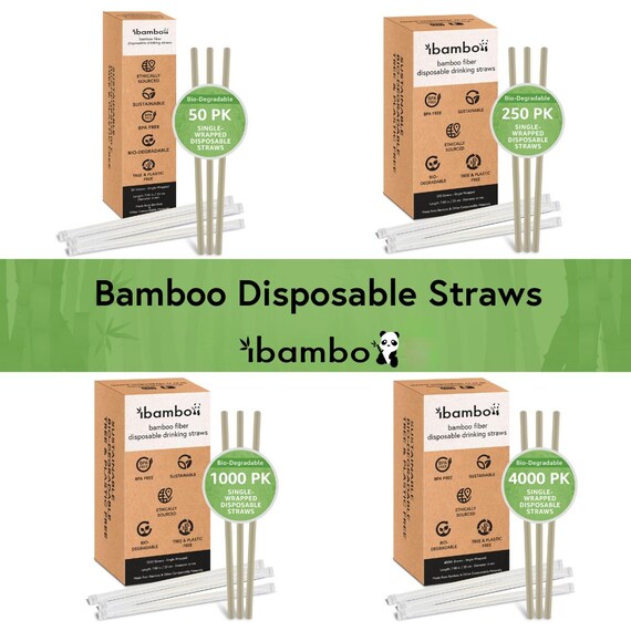 bananenpflanze zimmerpflanze pflege Bananenpflanze Musa basjoo - Musa basjoo