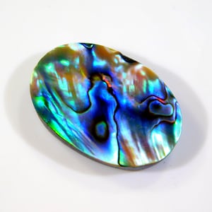 Op de afbeelding: Een ovaalvormige abalone schelp met iriserende kleuren blauw, groen en goud. De schelp heeft een glad, gepolijst oppervlak en een donkere rand. De natuurlijke edelsteen is geplaatst tegen een witte achtergrond.
