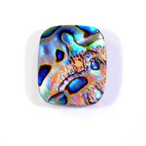 May include: A rectangular abalone shell with rounded corners. The shell displays iridescent colours of blue, green, orange, and brown. The surface has a textured appearance with dark blue and black spots.